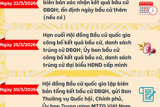 [Infographic] Các mốc thời gian cần chú ý sau ngày bầu cử